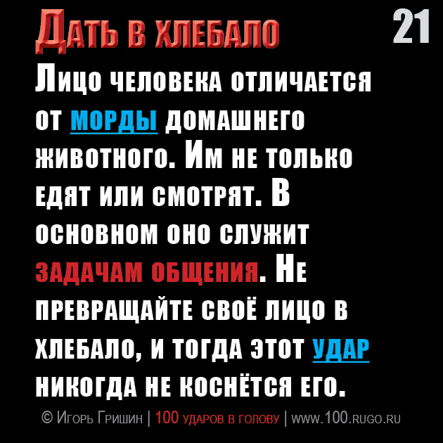 Дать в хлебало